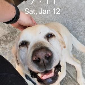 Meet your Posher, Cheryl